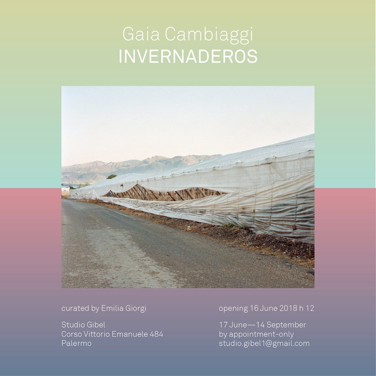 Gaia Cambiaggi – Invernaderos